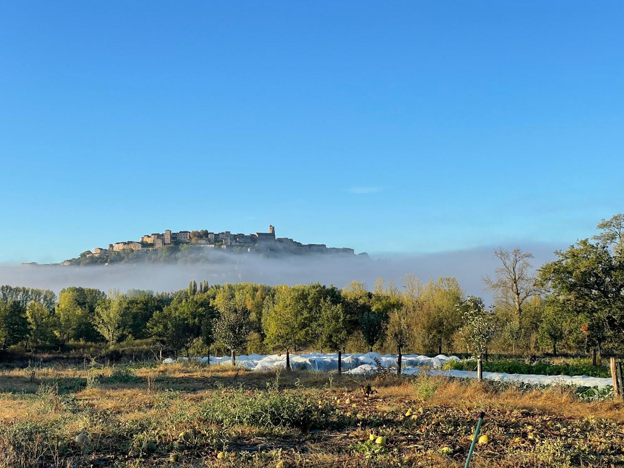 Gite A La Ferme De Verdurette Cordes-Sur-Ciel Exterior foto